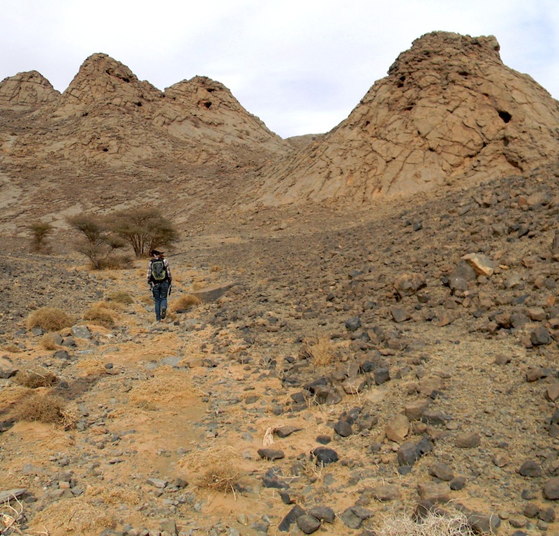 Seeking Life's Imprint in Morocco's Desert Sands